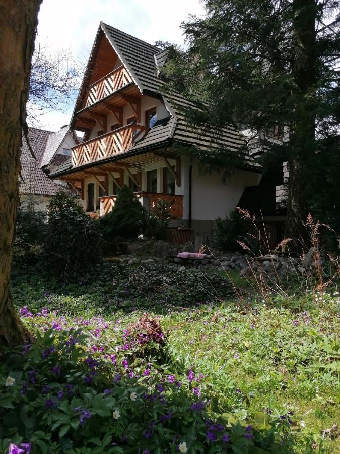 Villa Mitia Zakopane