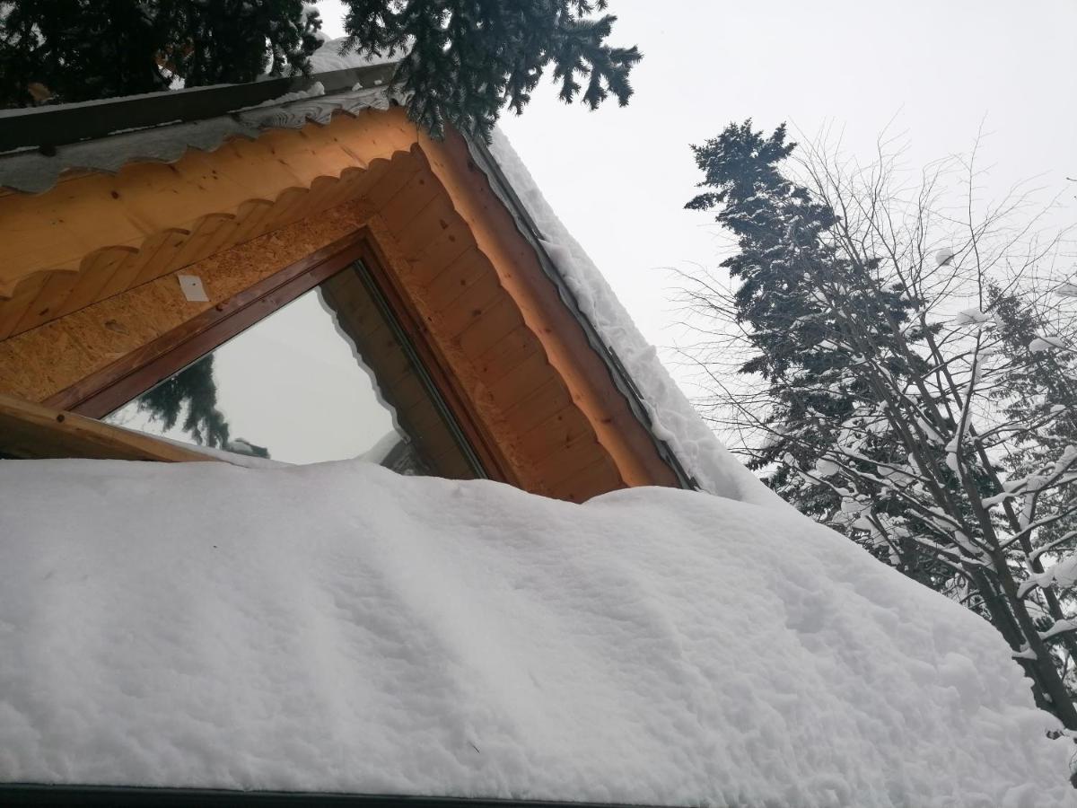 Mitia * Zakopane