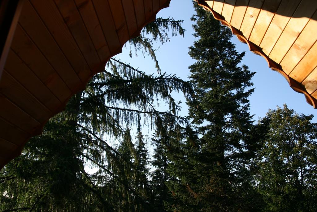 Mitia Zakopane