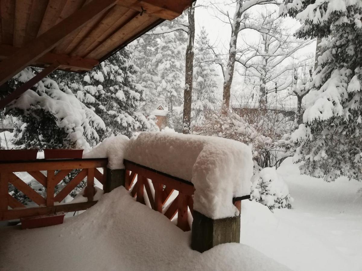 Mitia Zakopane